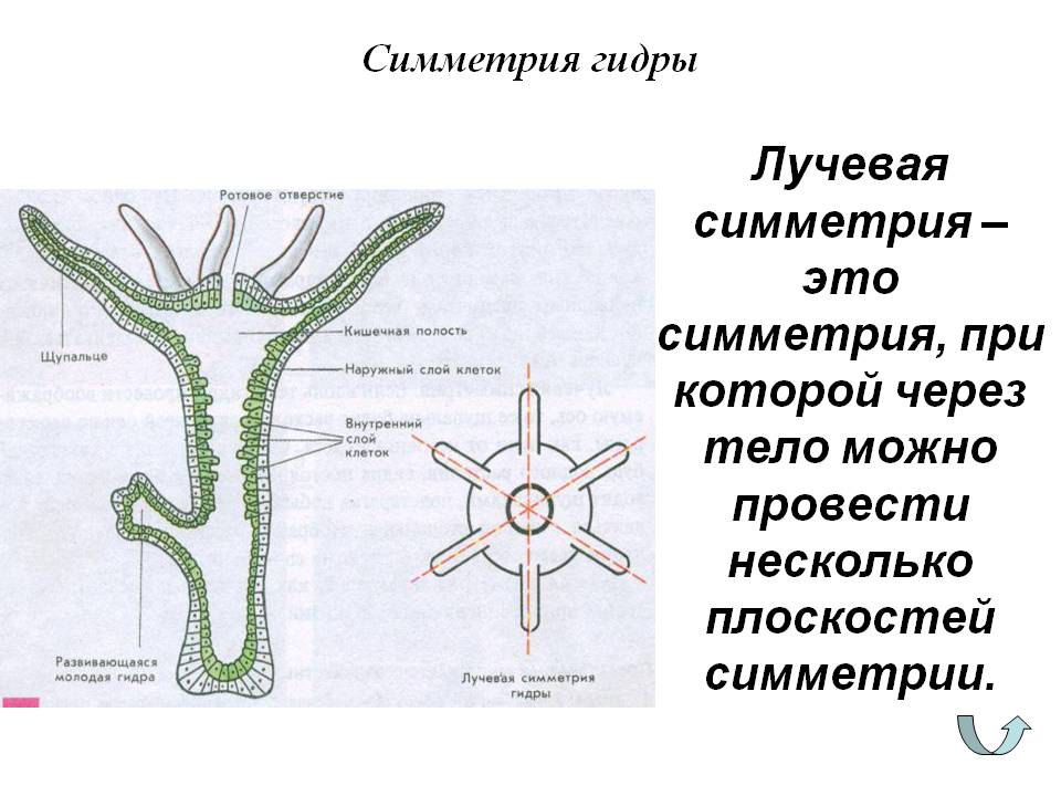 Зайти на кракен