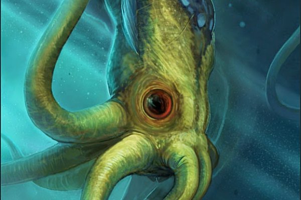 Kraken 11at
