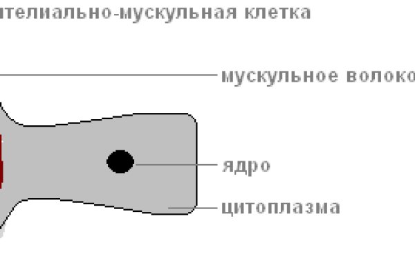 Кракен ссылка что это