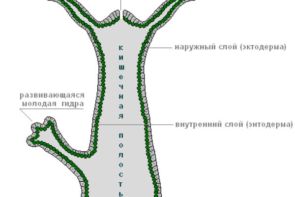 Можно ли восстановить аккаунт в кракен даркнет