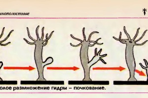 Модератор на кракене