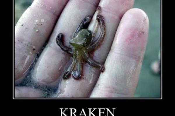 Kraken 13at
